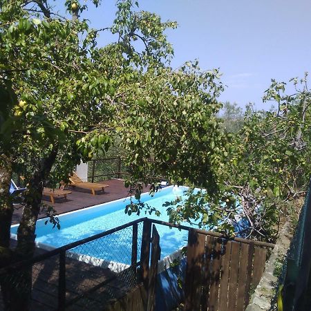Country House Near Florence Pension Buitenkant foto