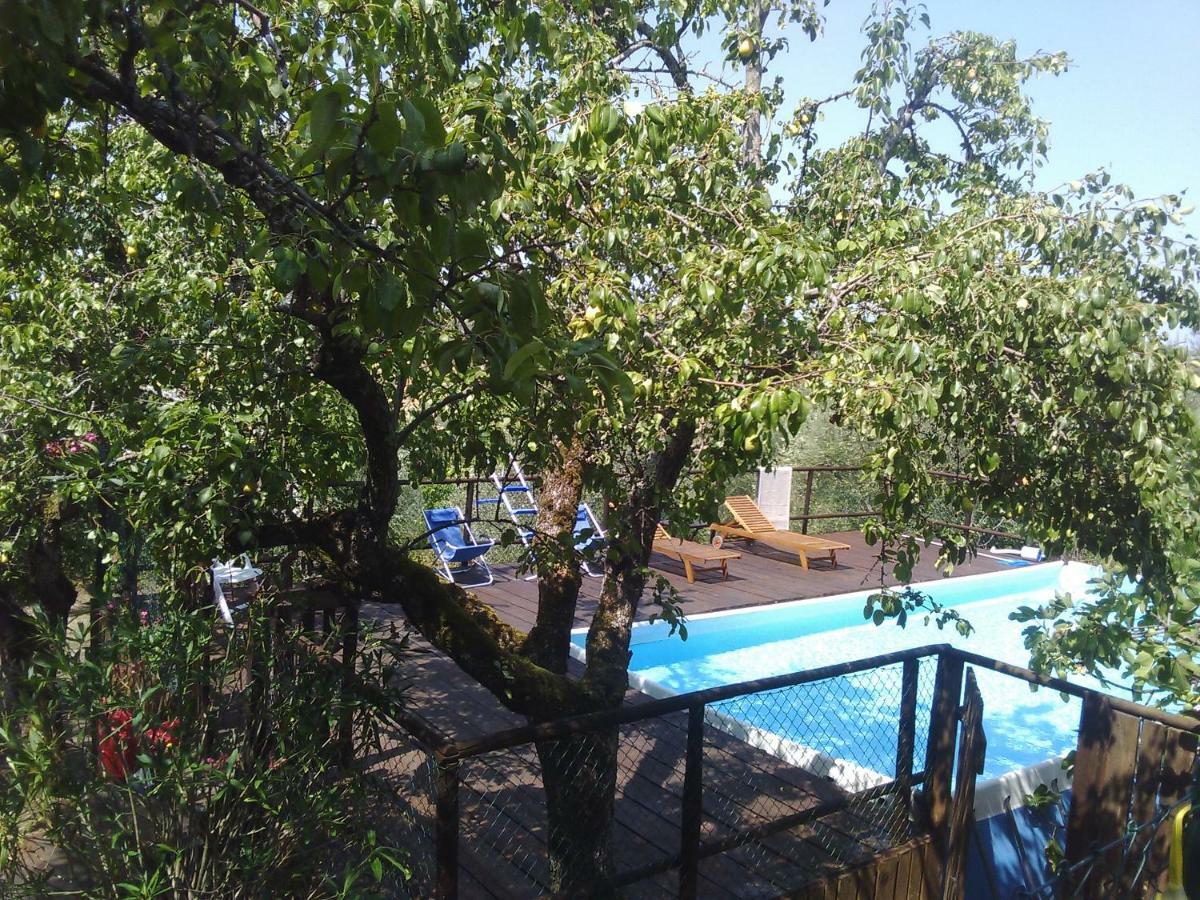 Country House Near Florence Pension Buitenkant foto